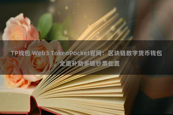 TP钱包 Web3 TokenPocket官网：区块链数字货币钱包，全面补助多链钞票处置